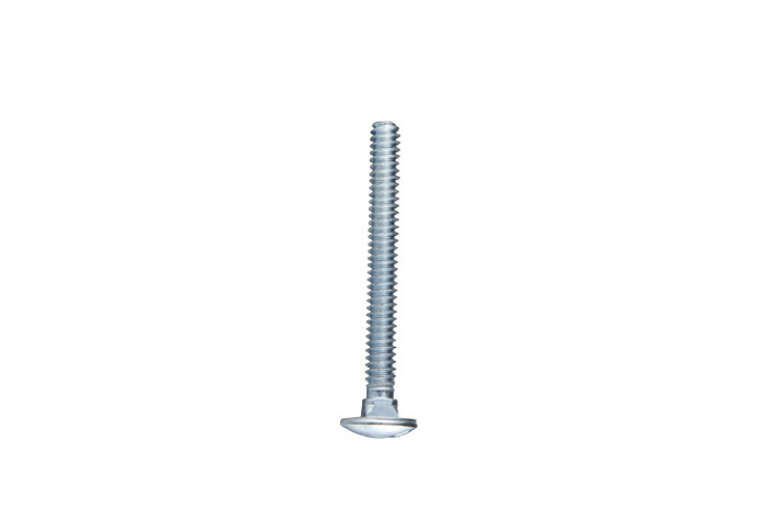 Carriage Bolt